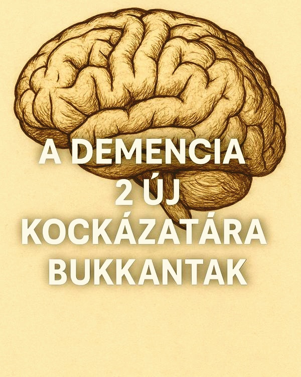 A demencia két eddig ismeretlen kockázatát nevezték meg a tudósok. Egyre jobban kirajzolódik a kép