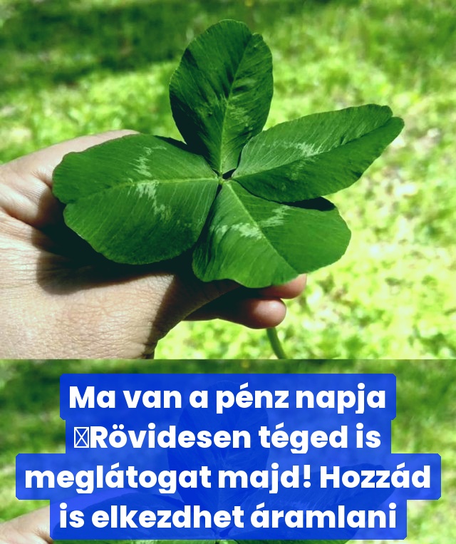 Ma van a pénz napja 🍀Rövidesen téged is meglátogat majd! Hozzád is elkezdhet áramlani