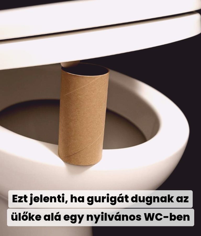 Ezt jelenti, ha gurigát dugnak az ülőke alá egy nyilvános WC-ben