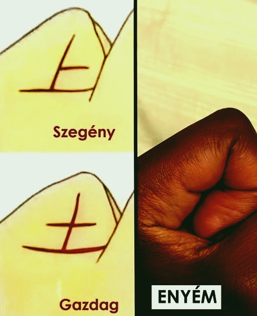 Ez a rejtett jel a kezeden elárulja, hogy meggazdagszol-e életedben: a többség átsiklik felette