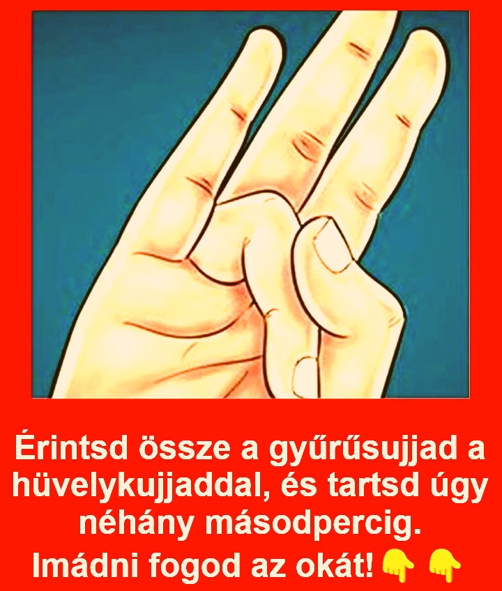 Imádni fogod az okát! ❤️