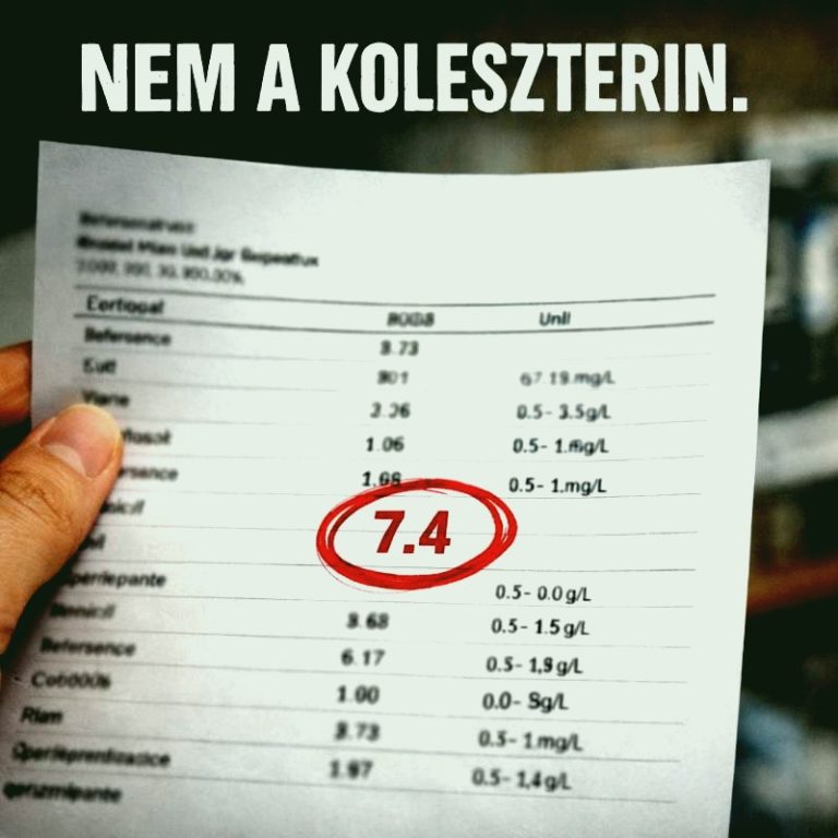Nem a koleszterin dönt: ezt az EGY számot nézd a laborleleteden, ha a szíved érdekel