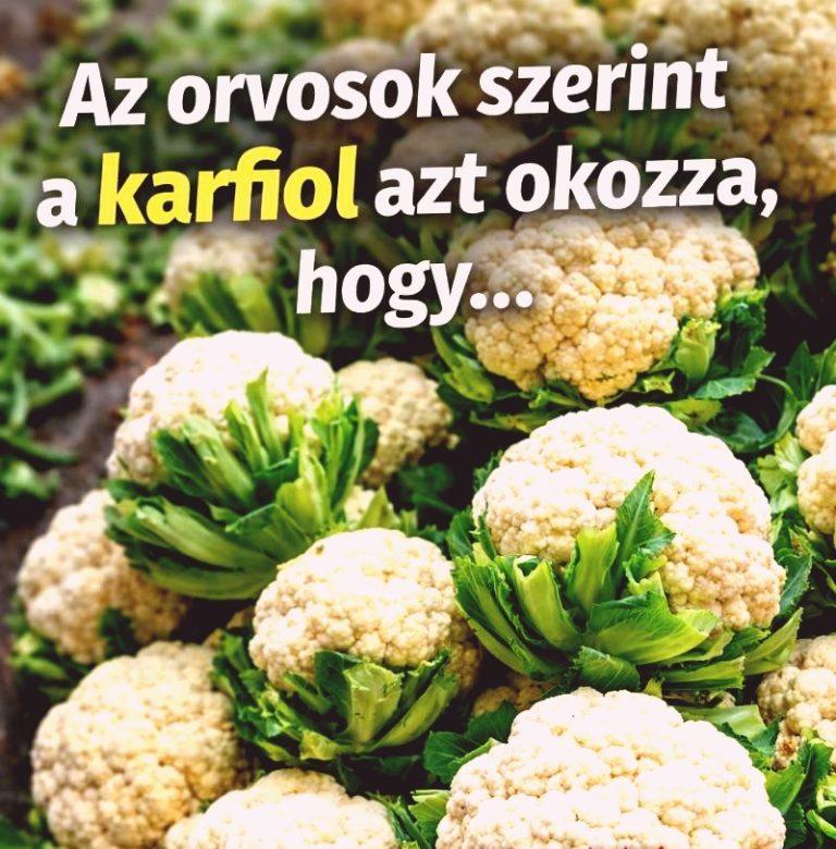 Sokan lebecsülik, pedig…😮