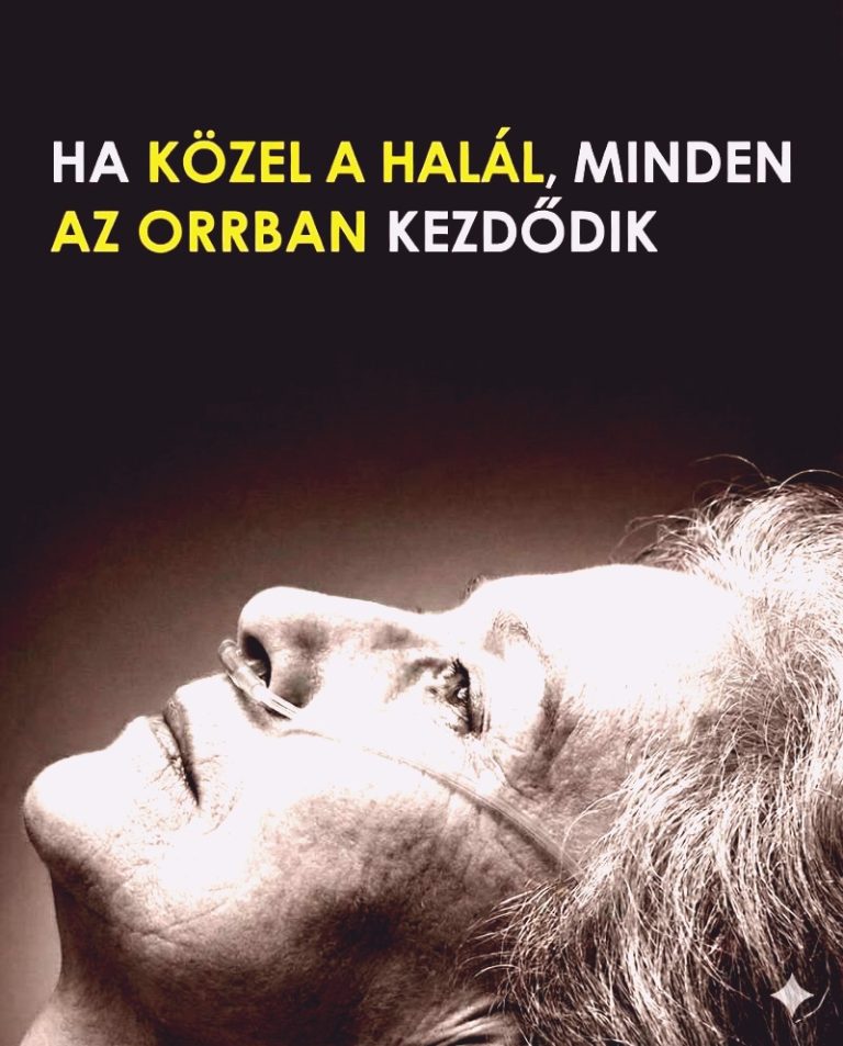 Az orrból indul minden 😨