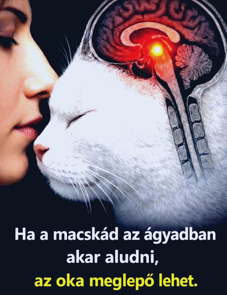 Bizony nem véletlen. És csak kevesen tudnak róla 🤔