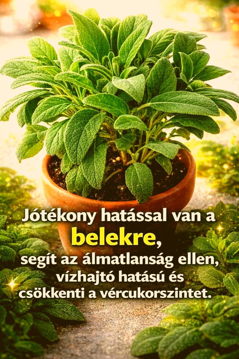 Nemcsak az illatáért szeretem: Antioxidáns, antibakteriális, támogatja az emésztést, és segít a köhögés és a megfázás ellen 😮