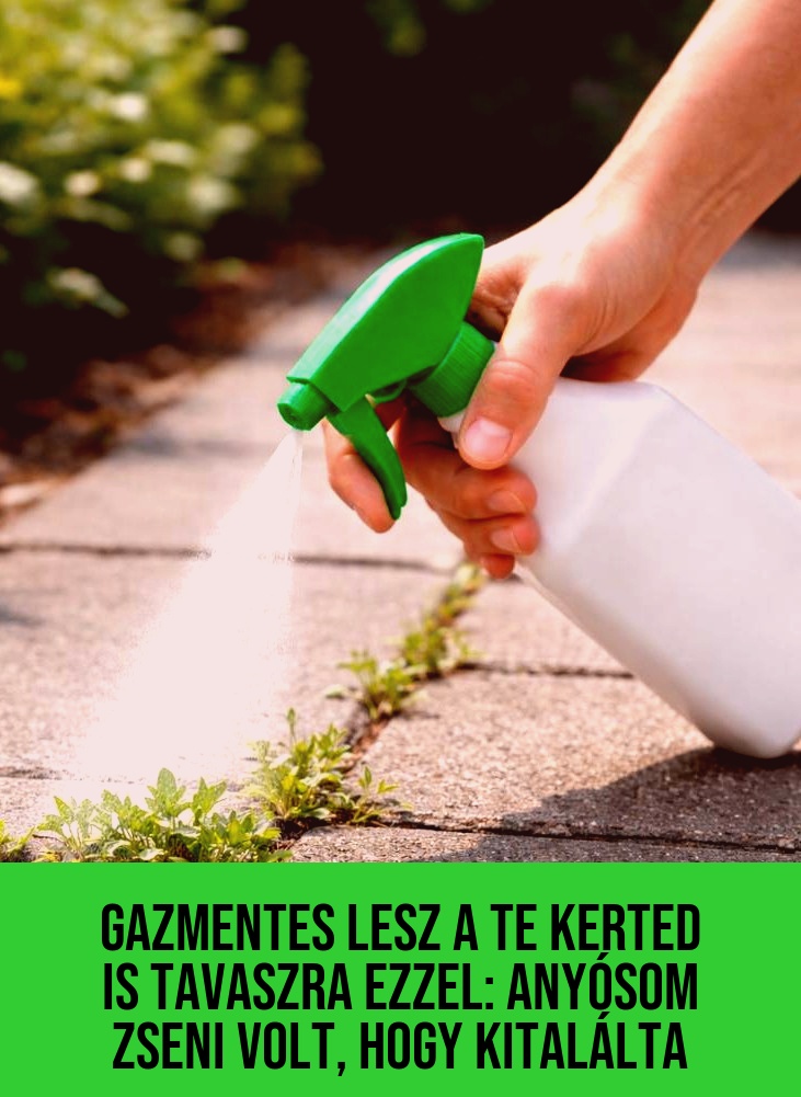 Gazmentes lesz a te kerted is tavaszra ezzel: anyósom zseni volt, hogy kitalálta