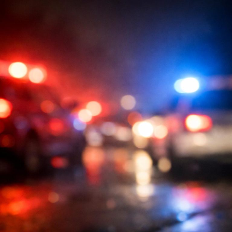 Elütötték a fekete bárányt Budapesten: életveszélybe került