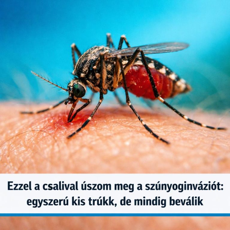Ezzel a csalival úszom meg a szúnyoginváziót: egyszerű kis trükk, de mindig beválik