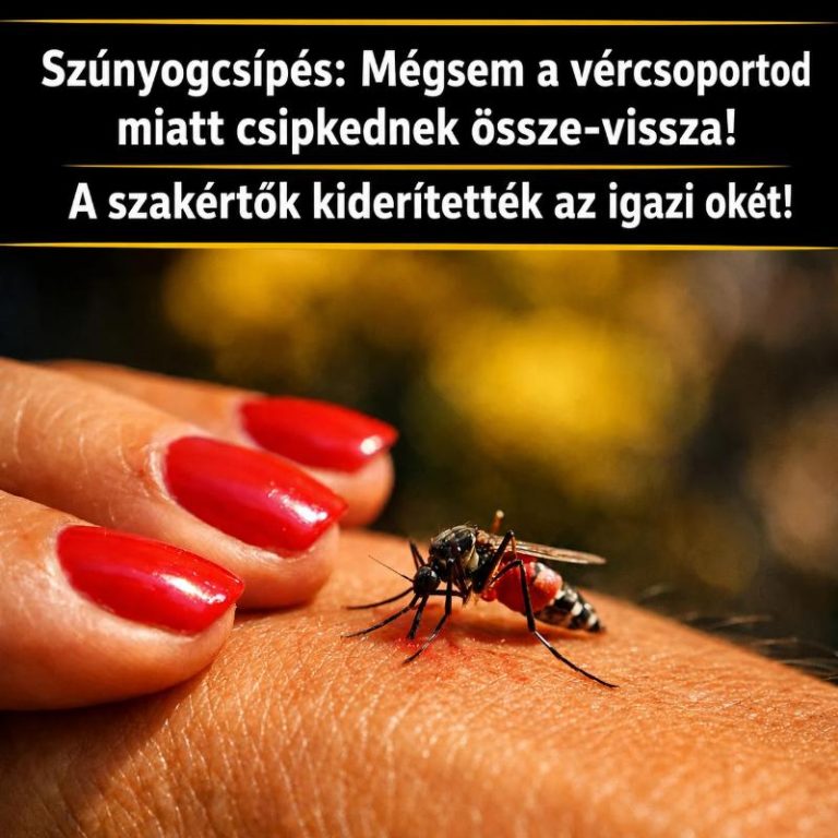 Szúnyogcsípés: Mégsem a vércsoportod miatt csipkednek össze-vissza! A szakértők kiderítették az igazi okát!
